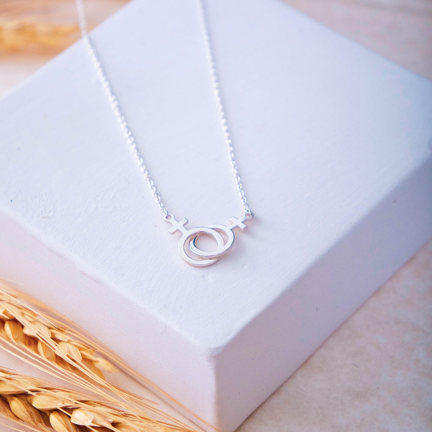 14k Dainty Thin Gold Filled Lesbian Necklace