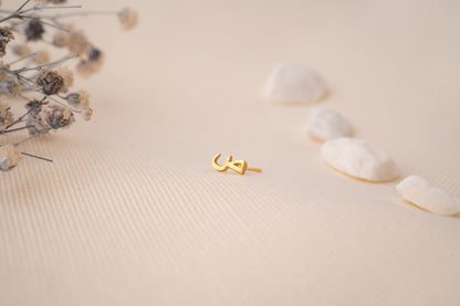 Delicate Gold Initial Earrings and Alphabet Letter Studs